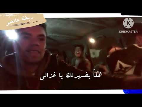 هكا يضهرلك يا غزالي وجدي جلاصي