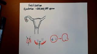Information Lecture RP-2b News