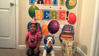 Happy Birthday to Simba