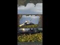 ¿Qué pasa si Ucrania pierde la guerra?