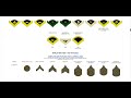 US Army Enlisted Rank Insignia 1775-2020 (Updated)