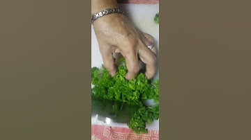 cutting #parsley #shortsvideo
