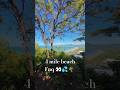 Quick clip of the Port Douglas Lookout 👀🏖️🌿💦