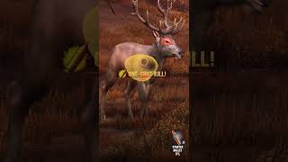 trophy hunter gameplay screenshot 4