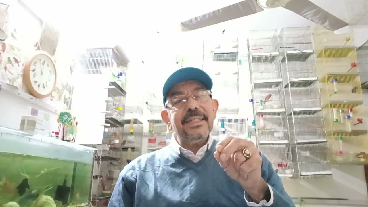 تابع مرحلة عزل الفروخ ( صلو على الحبيب)