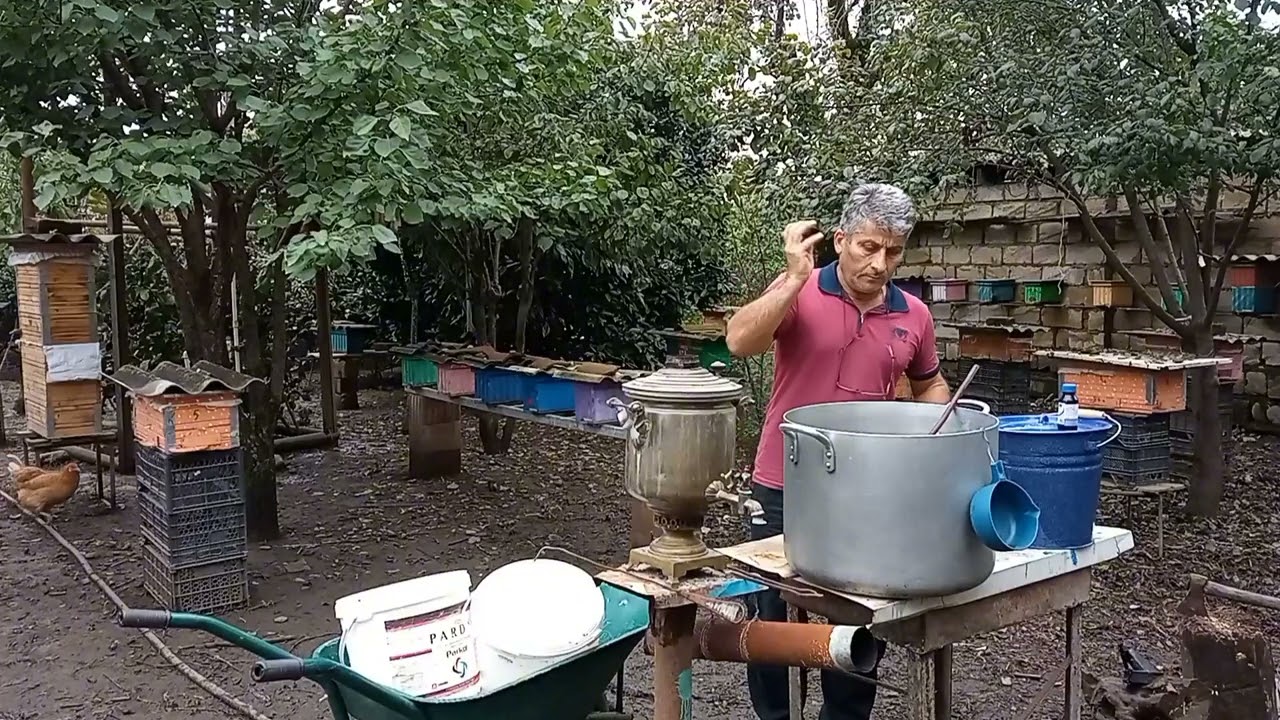 Arıların sentyabr yemləməsi.