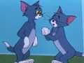 موش گربه