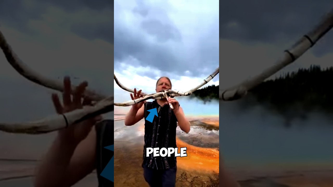 Тихий звук, словно говорит лес.😳 