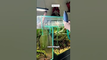 Este Chico Unió Sus Acuarios Haciendo Esto 😲