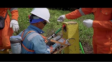 CIPS DCVG - PGAS Solution