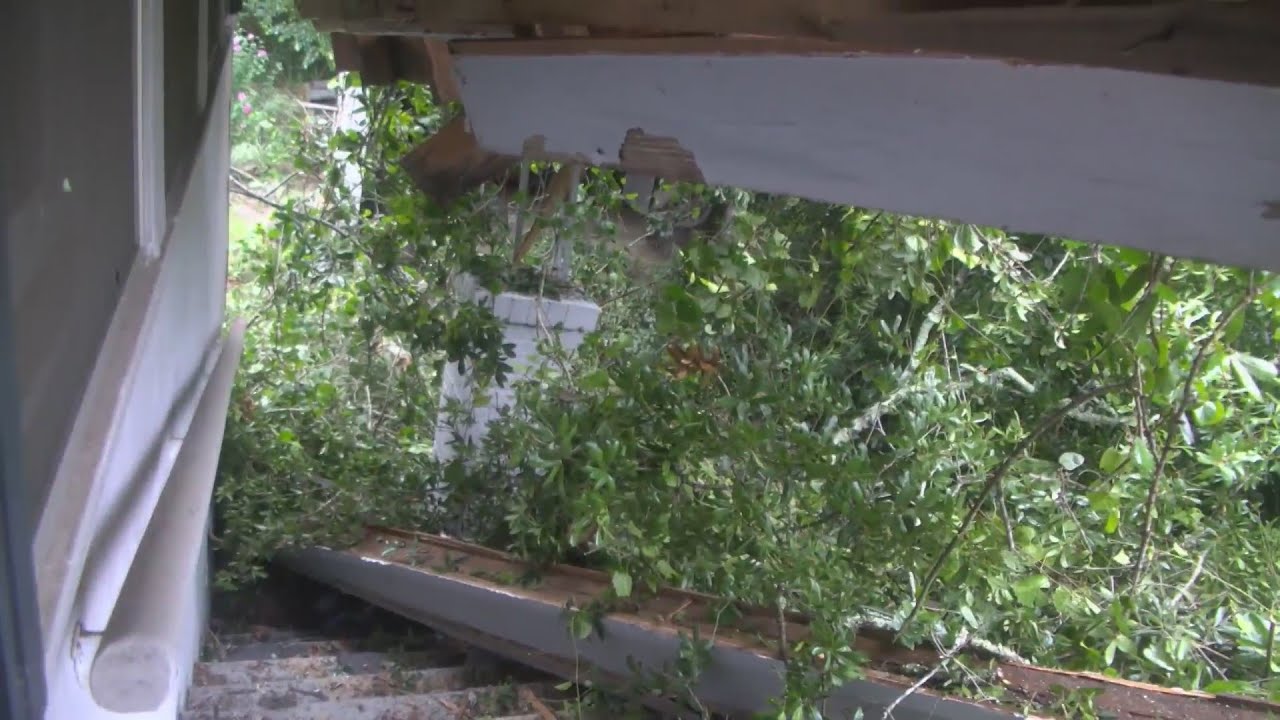 Elderly woman survives after tree limb crashes into home - YouTube