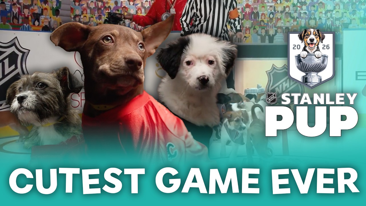 2026 Stanley Pup | The Cutest Puppies You've Ever Seen!