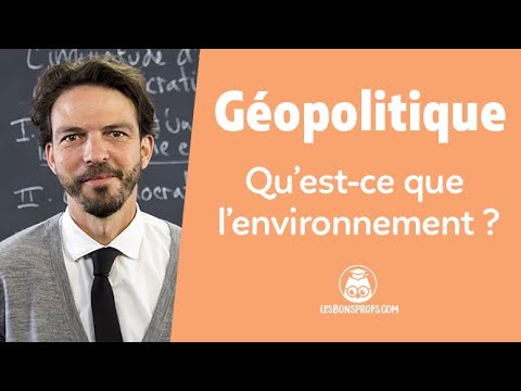 Vidéo: Est-ce que l'environnement humain est en interaction ?