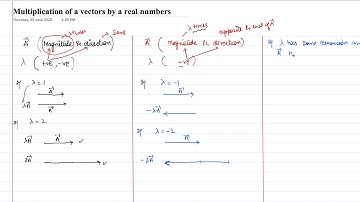 4.3 NCERT PART I: Multiplication of vectors by real numbers