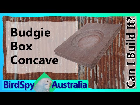 Budgie Box Concave | Can I Build It? Episode 03