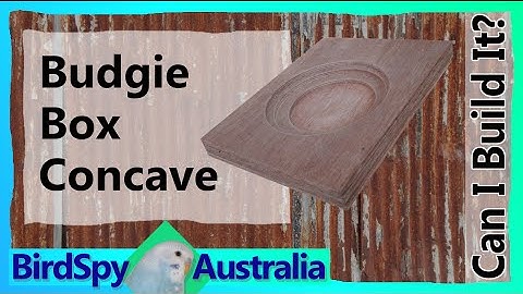 Budgie Box Concave | Can I Build It? Episode 03