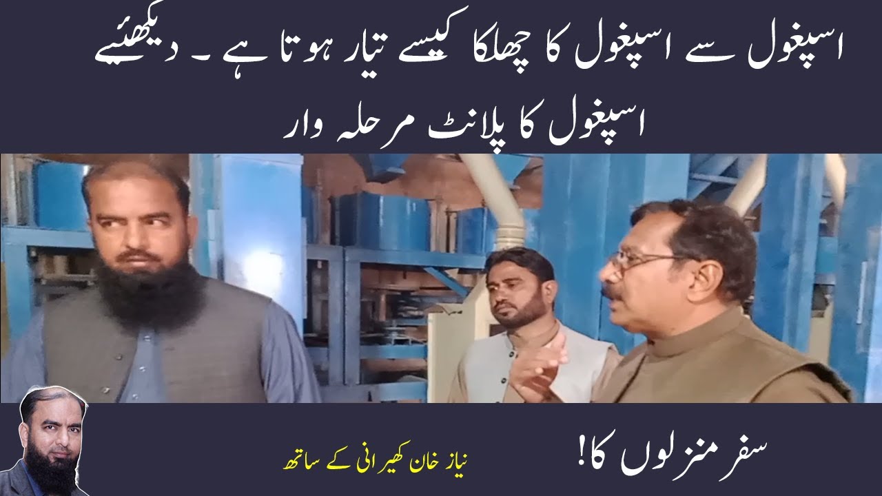 isabgol kaise banta hai isabgol kaise taiyar hota hai isabgol kaise banate hain اسپغول کا چھلکا کیسے