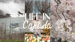 LIFE IN CANADA | Lifestyle changes, day trip to Niagara, grocery day + haul | Idonna Rowee