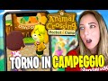 GIOCO ad ANIMAL CROSSING pocket camp DOPO 8 ANNI.