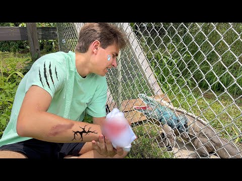 Video: Pet Scoop: Žena zachránil od ohně její pes, ohrožený pták Narodil se v zoo v Miami