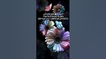 #خلفيات #دينية #سورة #البقرة #آية #171