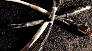 Paradox Audio - Balanced Interconnects