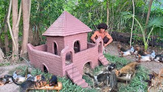 Building Most Beautiful House And Play ground Around Cats House