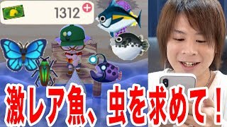 リーフチケット大量使う!!激レアの魚、虫捕まえる!!【どうぶつの森ポケットキャンプ】part2とーまゲーム screenshot 3