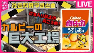 【社会科見学まとめ】カルビー巨大工場の裏側 / 毎日約4500点も…東京メトロ「お忘れ物総合取扱所」に密着 / 東京ドーム秘密エリアへ潜入！　など（日テレNEWS LIVE）