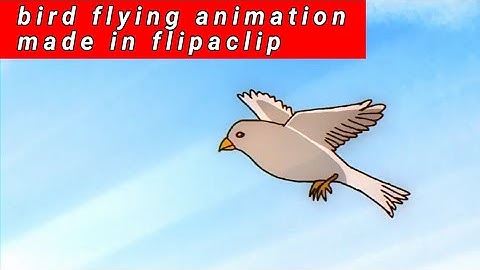 flying bird animation on flipaclip
