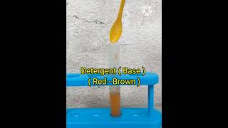 Turmeric Acid and Base Indicator Experiment | Easy Science Experiment at Home #shorts