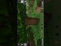 rhino vs jaguar in survivalcraft