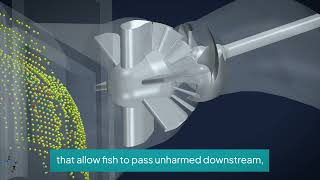 Powering the future with FishSafe hydropower | Natel Energy