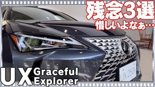 Lexus UX special edition Graceful Explorer improved model: 3