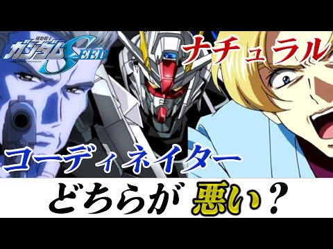 機動戦士ガンダムSEED ナチュラルとコーディネイターの歴史 その戦争の理由 [SEEDFREEDOM]