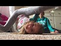 Contortion Stretches (fail)