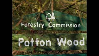 The Sights And Sounds Of Potton Wood - April 24Th 2020