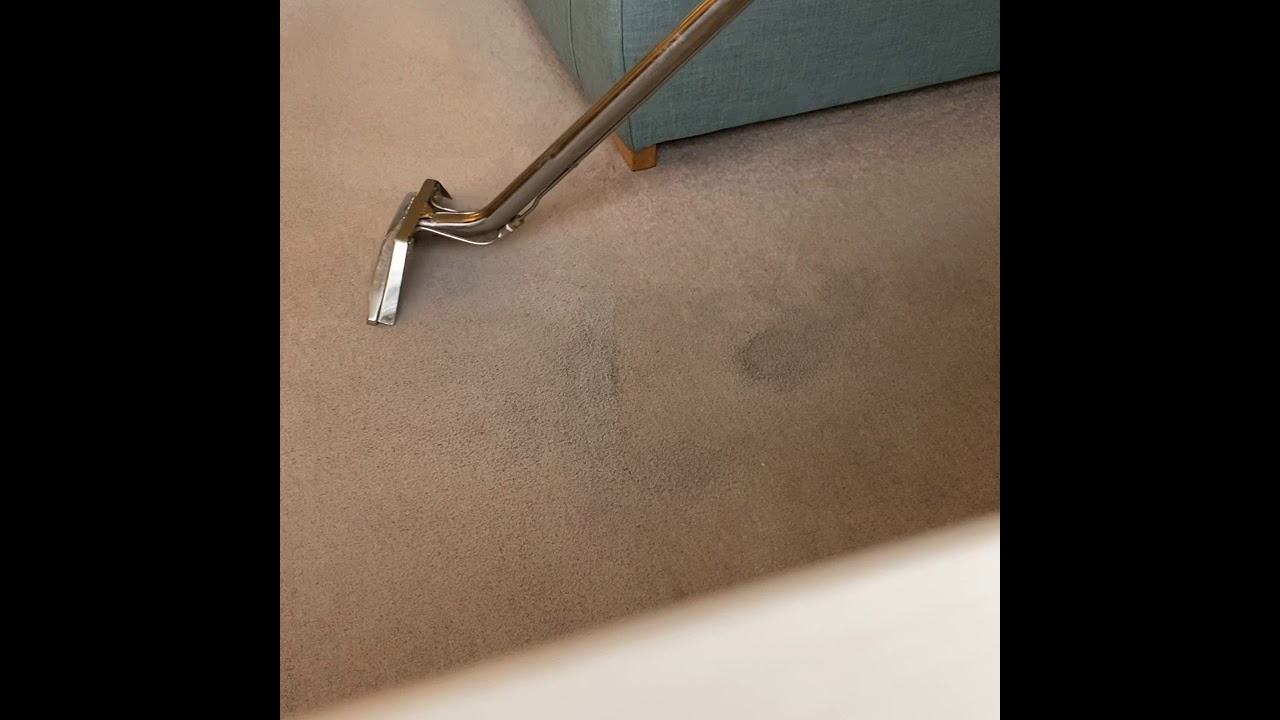 The City Cleaners, Carpet cleaners Leeds, Synthetic carpet cleaning