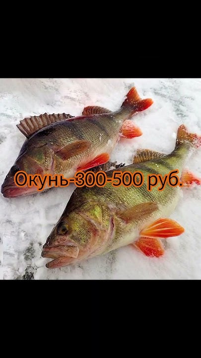 Сколько за 1 кг стоит рыба (сырая). Ч-2. #рыбак #рыбалка #fishing #рыба ...