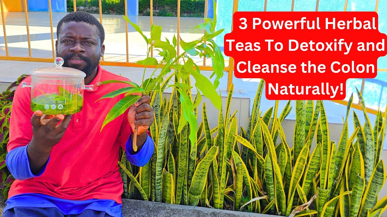 3 мощных травяных чая, которые естественным образом очищают кишечник и улучшают пищеварение.
