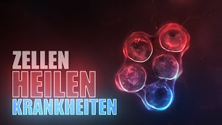 Wie Zellen Krankheiten heilen! (Animation) by Thomas Schwenke 11,925 views 1 year ago 11 minutes, 54 seconds