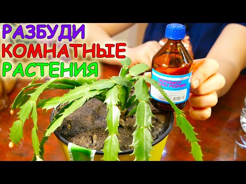 Перекись Водорода для