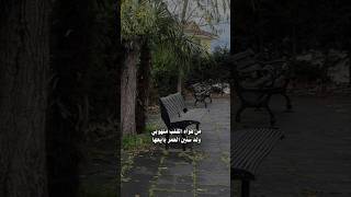 تصميم جديد من هواه القلب منهوبي وله سنين العمر بايعها سمعها