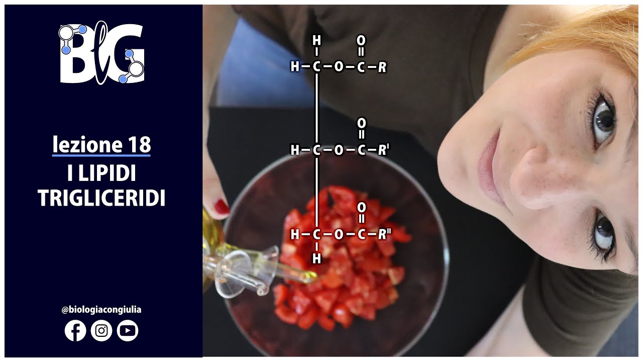 I LIPIDI - i trigliceridi