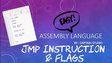 jmp instruction and flags in assembly language hindi/urdu