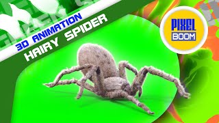 Green Screen Hairy Spider 3D Animation - PixelBoom