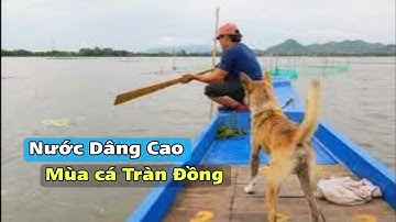Mùa Nước Nổi 2025 – Kênh Tha La Nước Dâng, Cá Linh Tràn Đồng