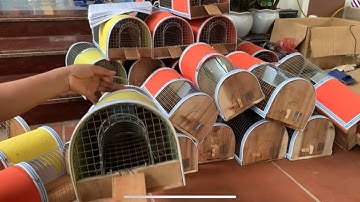 Ghét bọn chuột trong bếp.lồng bẫy chuột thông minh an toàn tuyệt đối.chuột trong bếp bị bắt hết,
