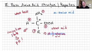 Lecture4b AminoAcids 1