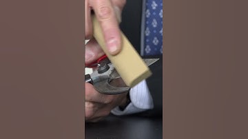 How to sharpen your pruners? ✨